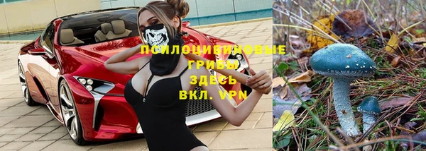 амф Алексеевка