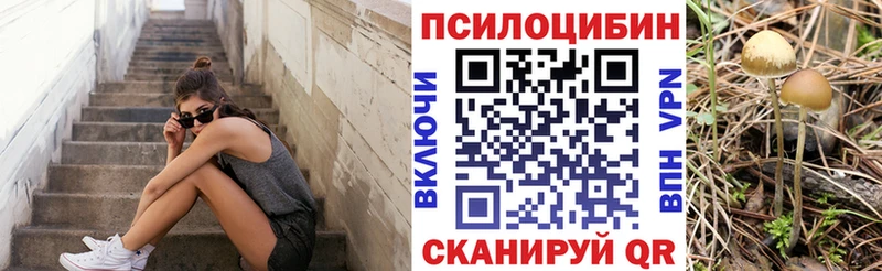 сколько стоит  Губкин  Галлюциногенные грибы мухоморы 