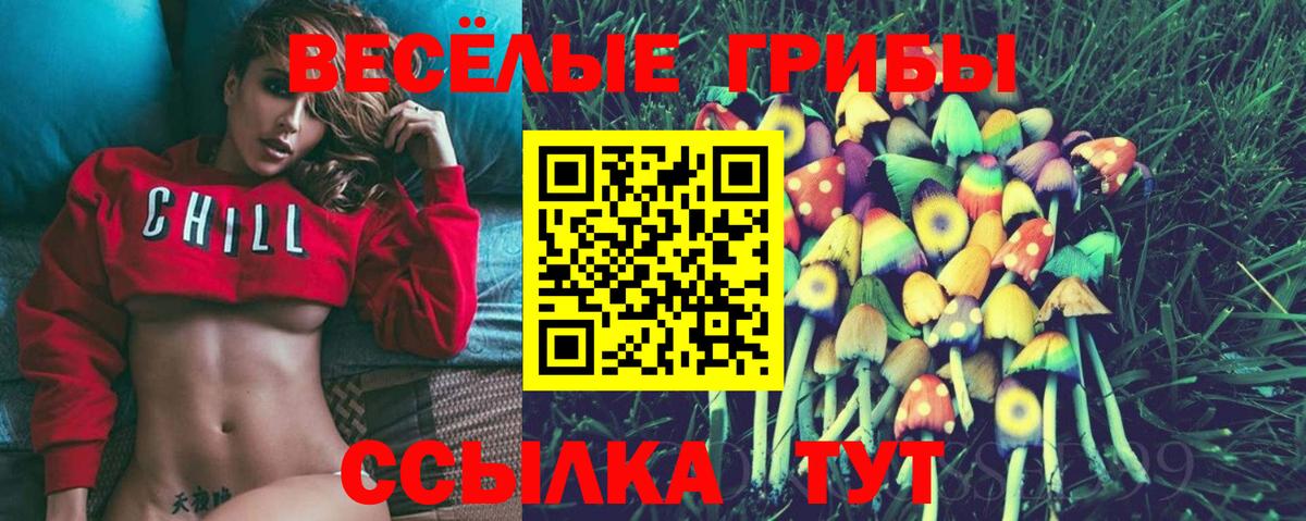 Галлюциногенные грибы MAGIC MUSHROOMS Губкин