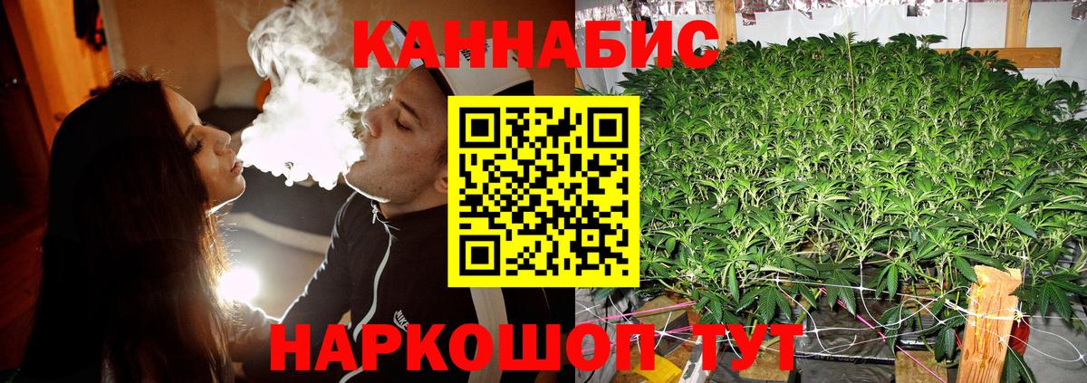 Конопля ГИДРОПОН Губкин